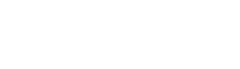 IAV logo